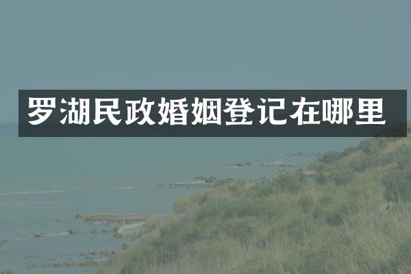 罗湖民政婚姻登记在哪里