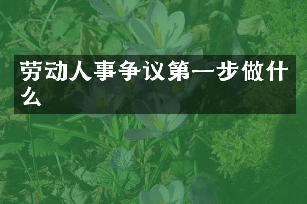 劳动人事争议第一步做什么