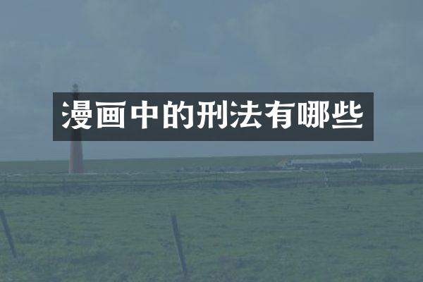 漫画中的刑法有哪些