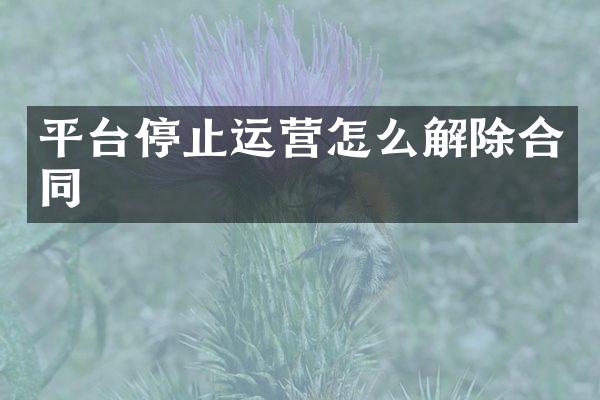 平台停止运营怎么解除合同