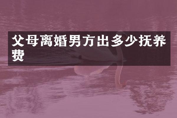 父母离婚男方出多少抚养费