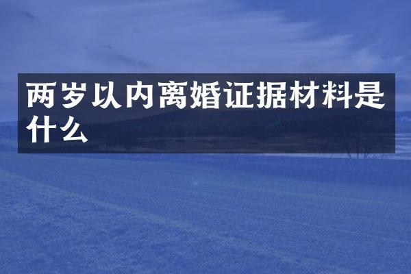 两岁以内离婚证据材料是什么