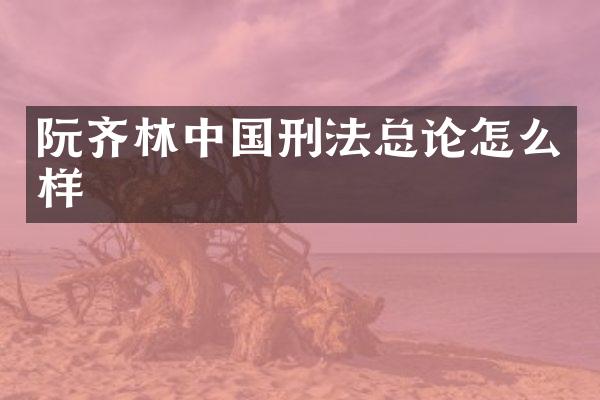 阮齐林中国刑法总论怎么样