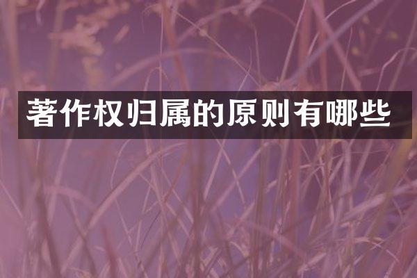 著作权归属的原则有哪些