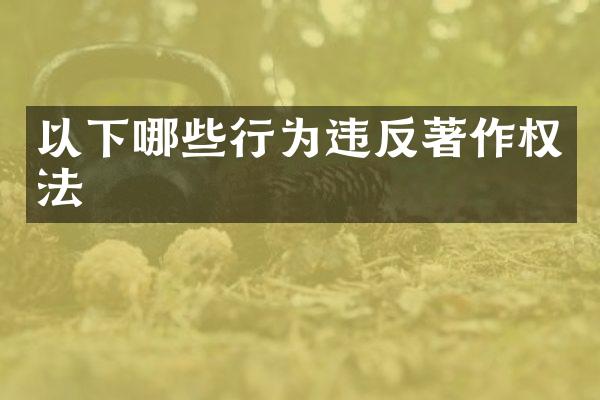 以下哪些行为违反著作权法