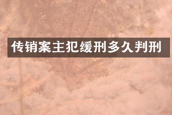 传销案缓刑多久判刑