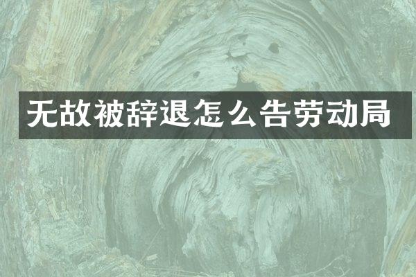 无故被辞退怎么告劳动局