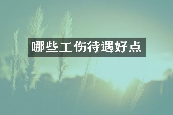 哪些工伤待遇好点