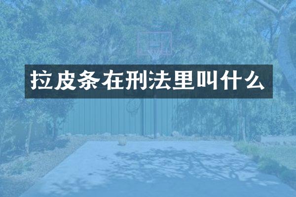 拉皮条在刑法里叫什么