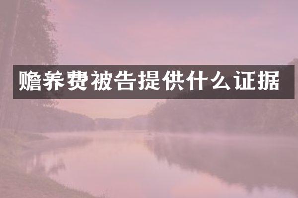 赡养费被告提供什么证据