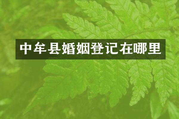 中牟县婚姻登记在哪里
