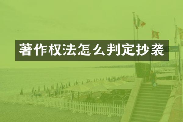 著作权法怎么判定抄袭