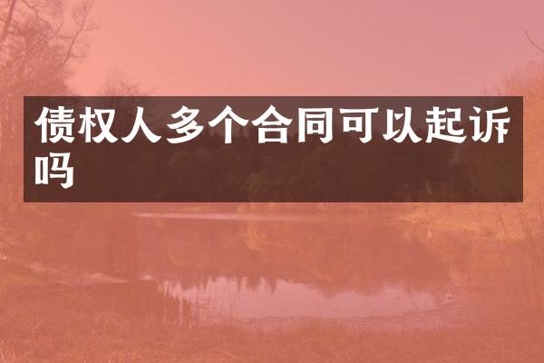 债权人多个合同可以起诉吗