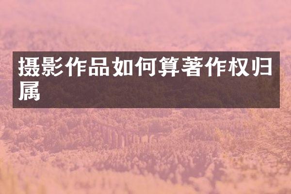 摄影作品如何算著作权归属