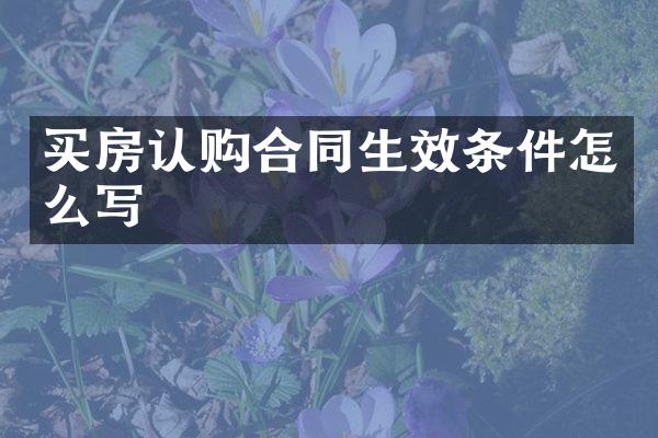 买房认购合同生效条件怎么写