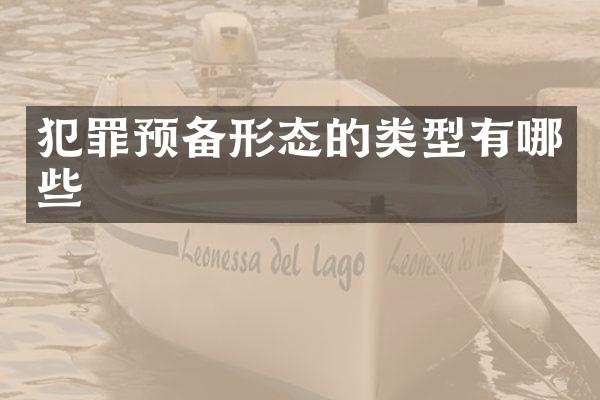 犯罪预备形态的类型有哪些