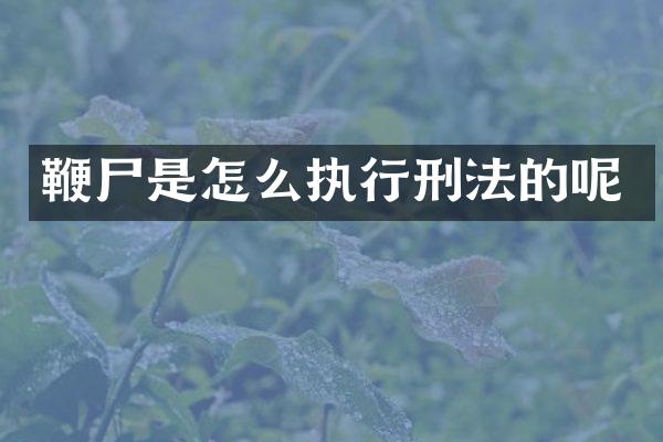 是怎么执行刑法的呢