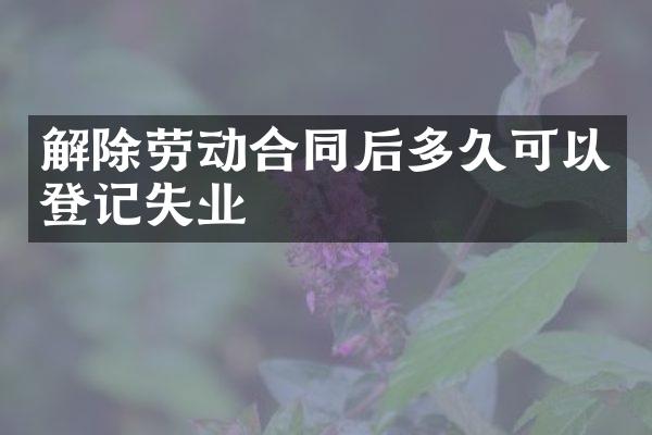 解除劳动合同后多久可以登记失业