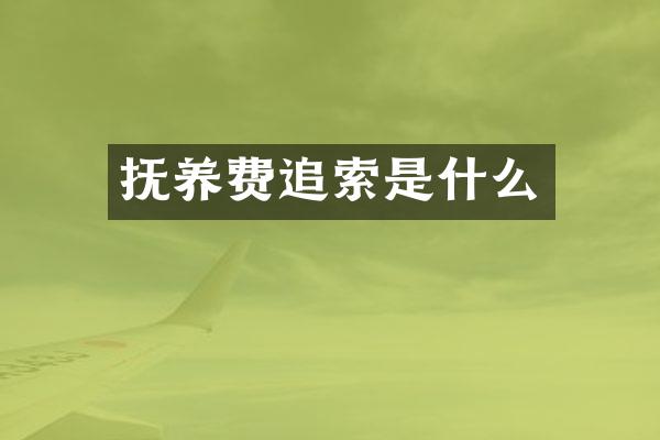 抚养费追索是什么