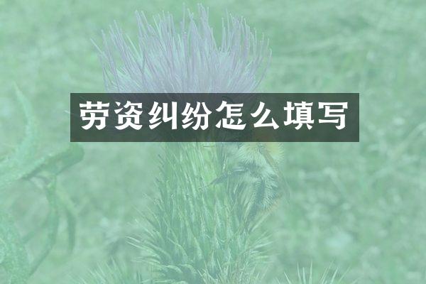 劳资纠纷怎么填写