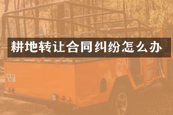耕地转让合同纠纷怎么办