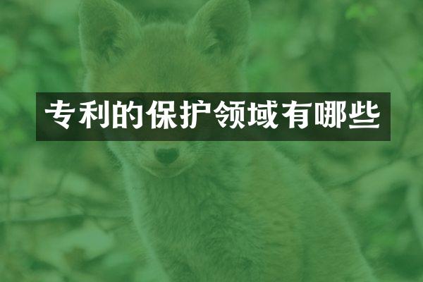 专利的保护领域有哪些