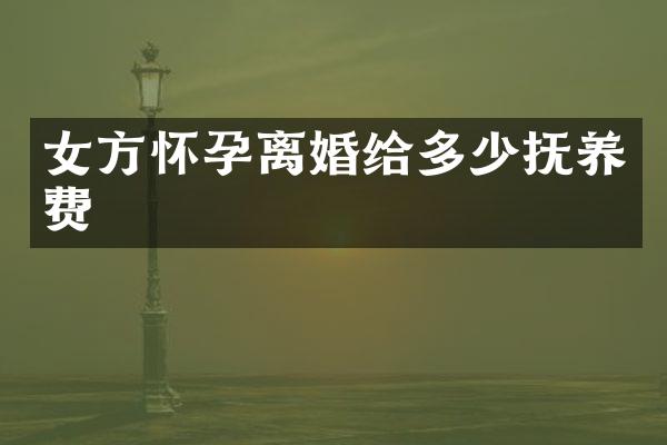 女方怀孕离婚给多少抚养费
