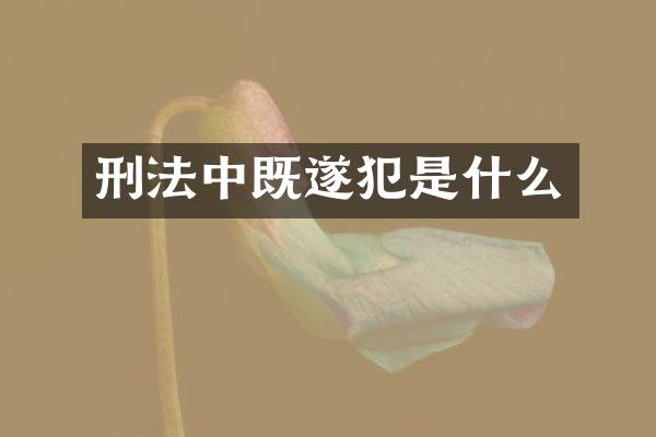 刑法中既遂犯是什么