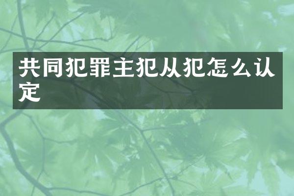 共同犯罪从犯怎么认定