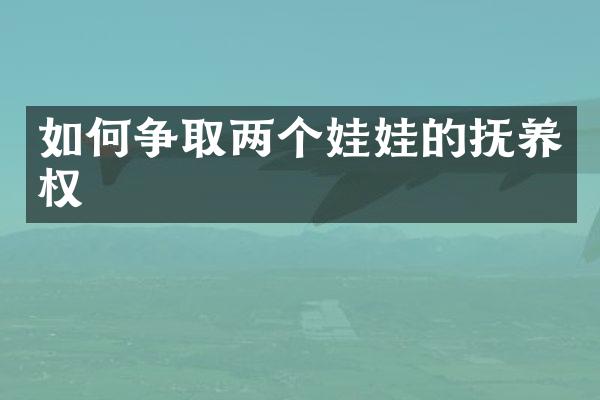 如何争取两个娃娃的抚养权