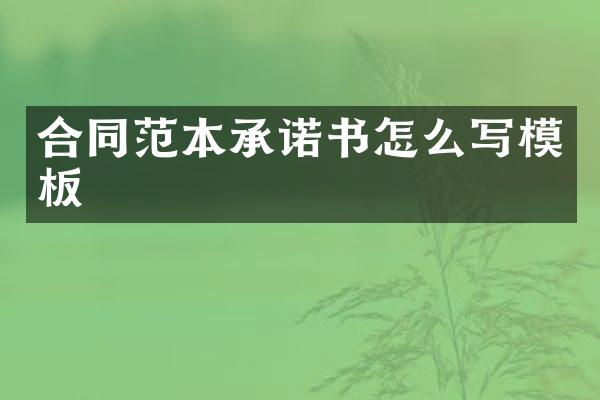 合同范本承诺书怎么写模板