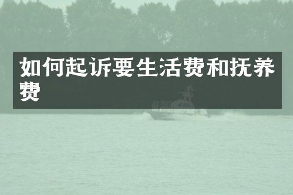 如何起诉要生活费和抚养费