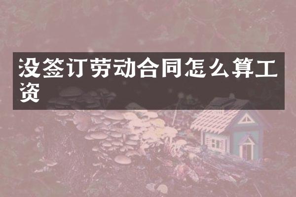 没签订劳动合同怎么算工资