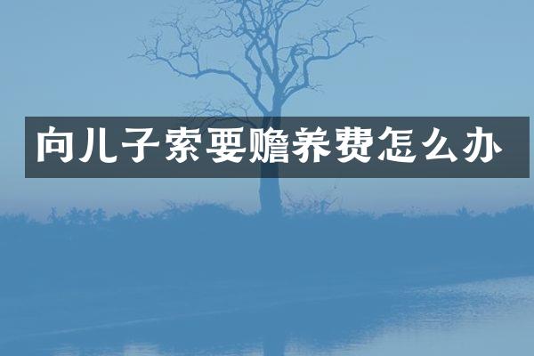 向儿子索要赡养费怎么办