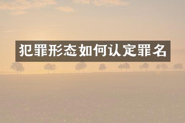 犯罪形态如何认定罪名