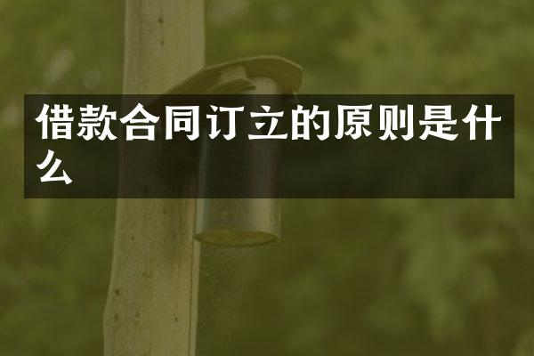 借款合同订立的原则是什么