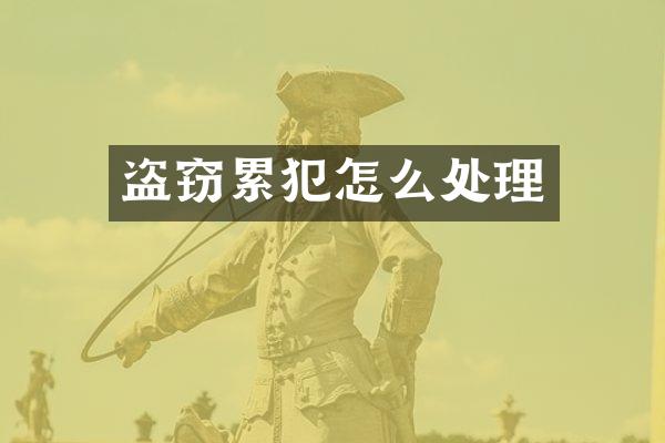 盗窃怎么处理