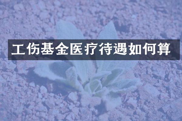 工伤基金医疗待遇如何算