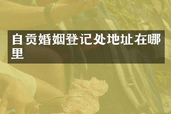 自贡婚姻登记处地址在哪里