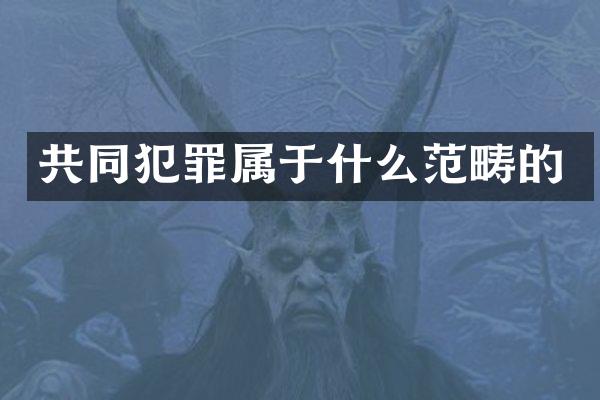 共同犯罪属于什么范畴的