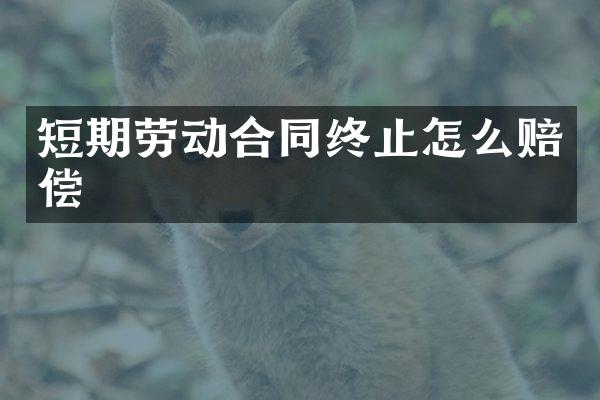 短期劳动合同终止怎么赔偿