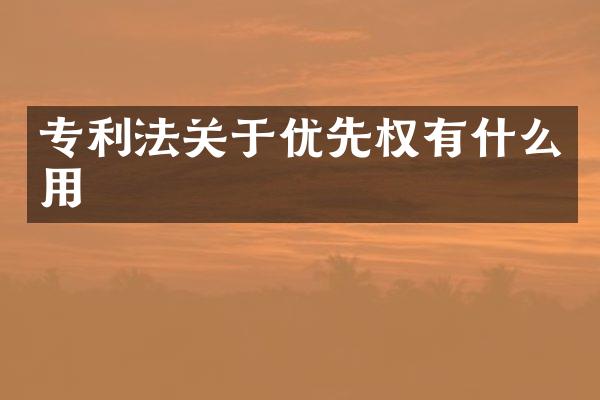 专利法关于优先权有什么用