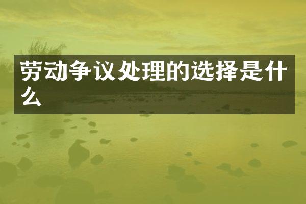 劳动争议处理的选择是什么