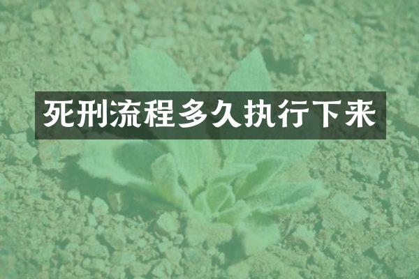 死刑流程多久执行下来