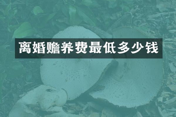 离婚赡养费最低多少钱