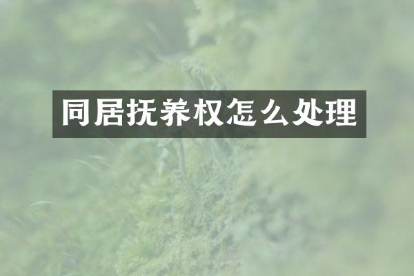 同居抚养权怎么处理