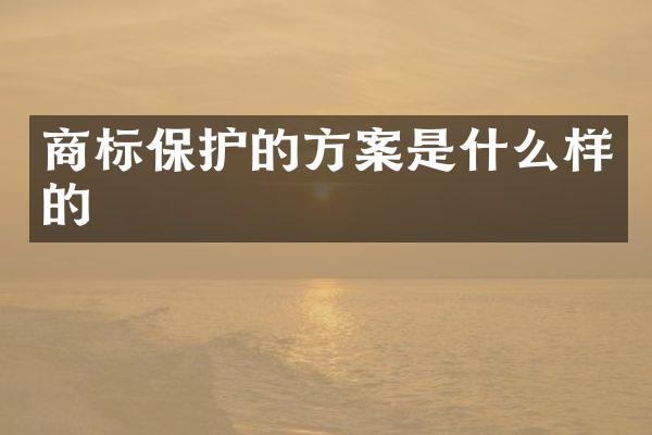 商标保护的方案是什么样的