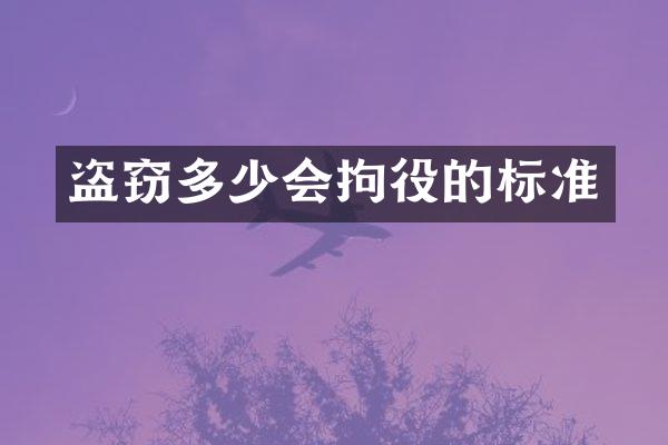 盗窃多少会拘役的标准