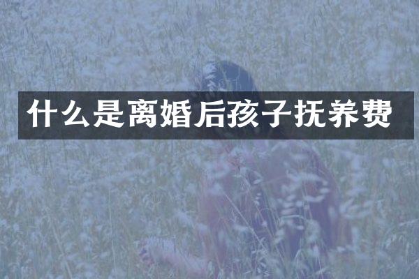 什么是离婚后孩子抚养费