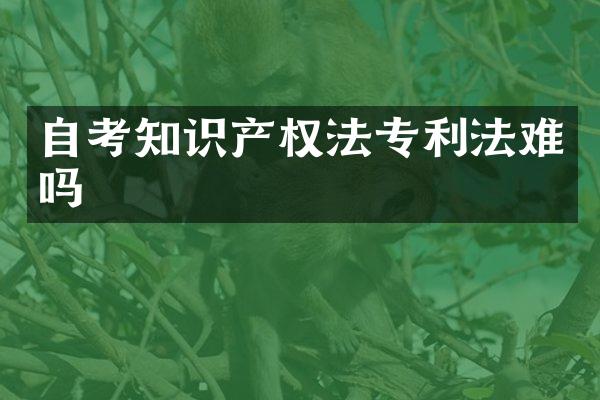 自考知识产权法专利法难吗